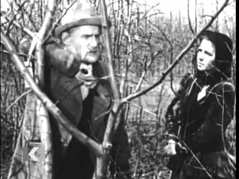 Aleksandr Dovzhenko. Michurin (1947)