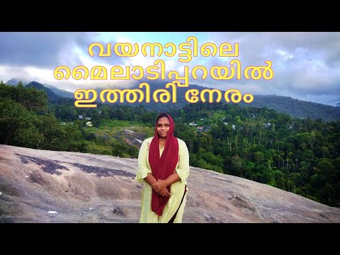 Myladippara in Wayanad || Travel vlog || Dr Shameena Rahman || Malayalam