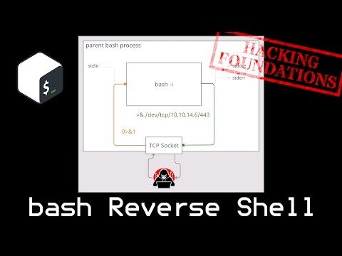 Exploring Bash Reverse Shell