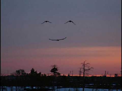 Fruit of Love by Transformer 2 (ORIGINAL)