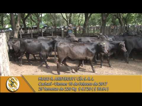 10-02-17 - Venta de Hembras - Hugo R. Aristegui y Cia - Cacharí