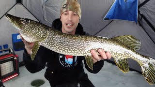 BIG SUCKER, BIG PIKE! Ice Fishing with Aqua Vu AV822