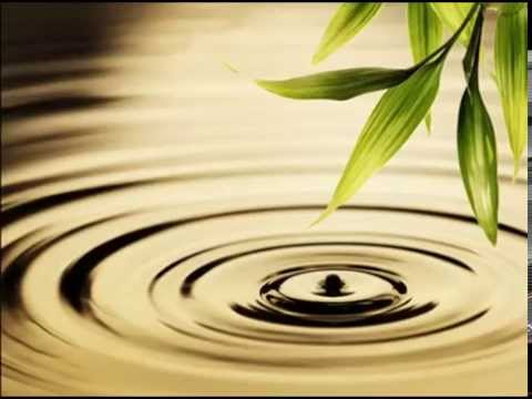 Muskelentspannung nach Jacobson (Langversion)