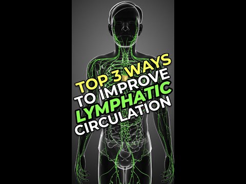 Top 3 Ways To Improve Lymphatic Circulation