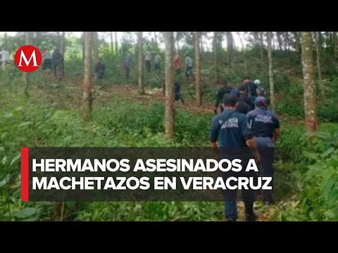 Asesinan a tres hermanos a machetazos en Tezonapa, Veracruz