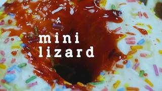 Mini Lizard ı Teaser