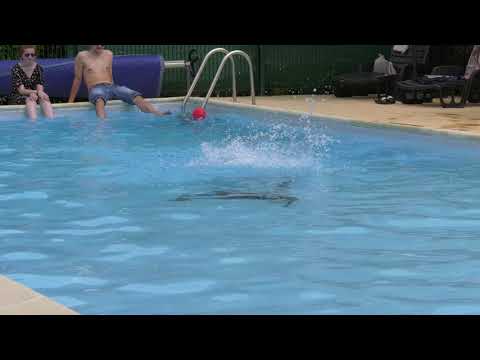 Camping de l'Hippodrome - Camping Sarthe - Image N°2