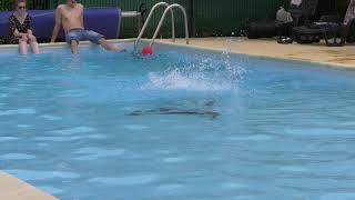 Camping de l'Hippodrome - Camping Sarthe - Afbeelding N°2