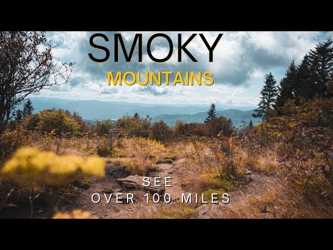 The Peaceful Meadows of the Smoky Mountains | You Wont Believe It