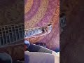 Ernest Ranglin Guitar Lick #2 (Stop That Train)