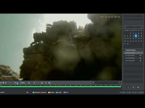 2022 02 12 crab encounter