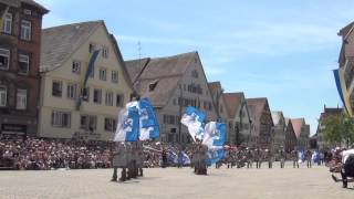 preview picture of video 'Abnahme 2014 - Biberacher Schützenfest'