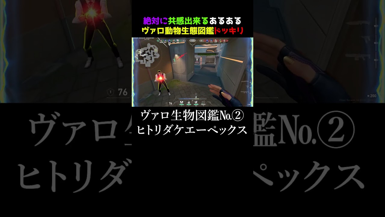 【共感】ヴァロしてたら見れるキモ過ぎる個性豊かな野良達を動物にしてみた#valorantクリップ  #valorantclips   #valorantショート #ヴァロラント #valorant