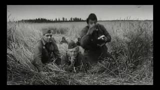 Подвиг на Буйничском поле под г. Могилёв.