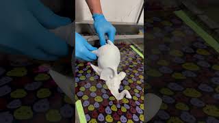 Hydro Dipping Elephant #satisfying #hydrodipping