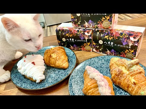 [Aizhuo] Wagaku Ichiki-#Yagatsudo Kinbi Seishin Green Garden Road B1