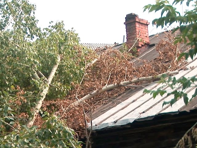 Дерево рухнуло на дом