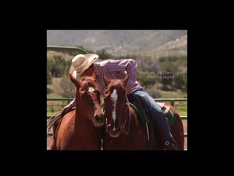 Trevor Haught Colt starting school