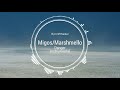 Migos & Marshmello - Danger (Instrumental)