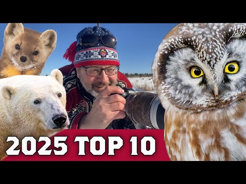 HATE them? LOVE them? Sparky's Top 10 BIRD & WILDLIFE Photos 2025