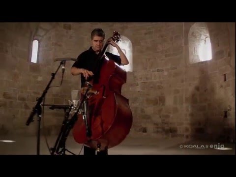 FLAMENCO ON UPRIGHT BASS