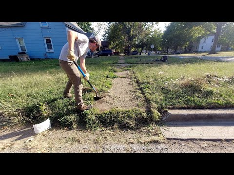A Heartwarming Act of Kindness: Transforming a Neglected Yard