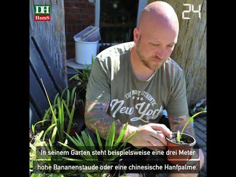 DIE HARKE vom 08.08.2020