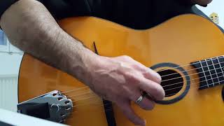 Video thumbnail for Playing a Richwood RM 70 NT - Davide Petrocca on Guitar. ( Gonzalo Bergara - Donna Lee ) by Davide Petrocca Guitar