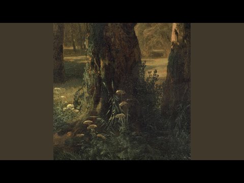 Peace of the Woodlands