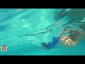 Pool Safety PSA