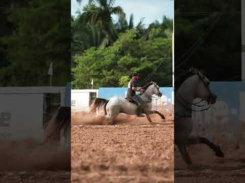 VAQUEJADA DO PARQUE LUIZ GONZAGA - TO.