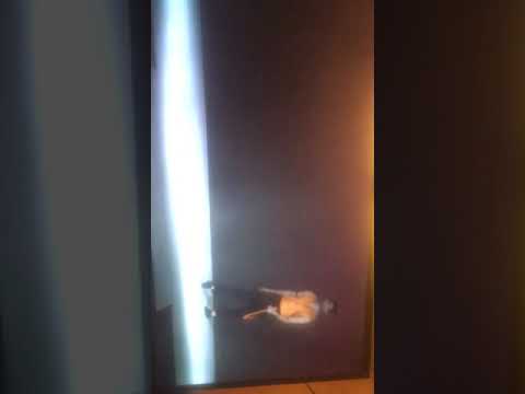 Anshit khandelwwal
 Walking