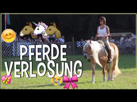 Pferde Verlosung ✮ FMA ♥