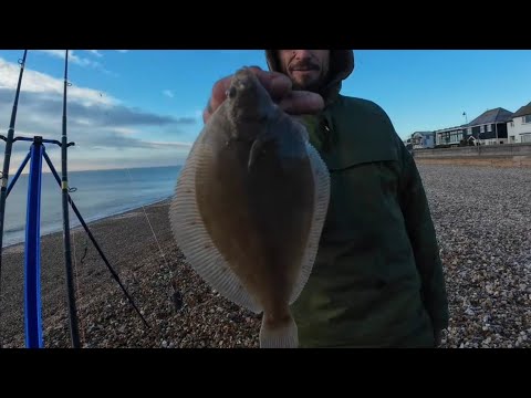 First plaice of the year hythe beach fishing in January