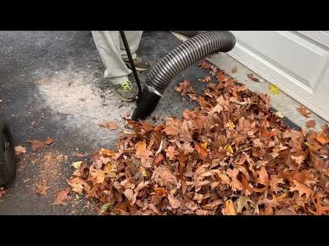 Showing the leaf vac hose attachment on acorns and leaves