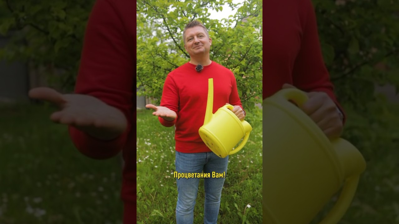 От тли помогает мгновенно! Как избавиться от тли в саду просто и эффективно