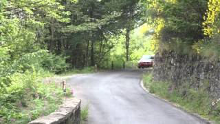 preview picture of video '41° rally Valli  Imperiesi  2012 ps 7 Passo Teglia'