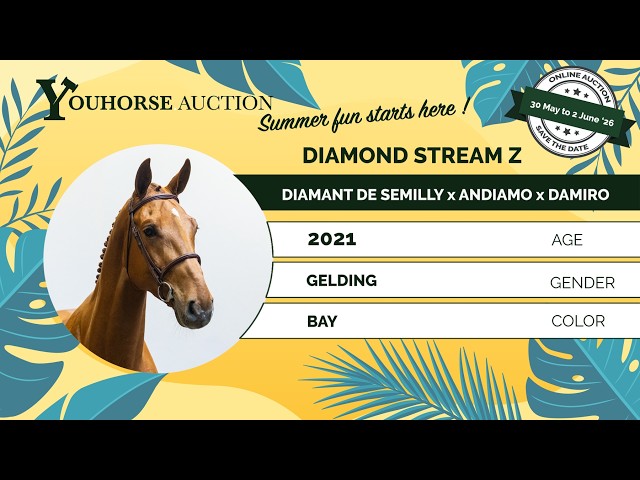 Diamond Stream Z