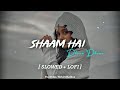 Shaam Hai Dhuan Dhuan Diljale Ajay Devgan Slowed LoFi Full Song