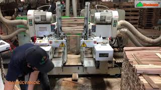 MÁY LÀM MỘNG 2 Đầu Cnc tải nặng Woodmaster giá tốt nhất VN 2020