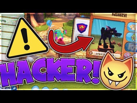 animal jam hackers 2018 animal jam hackers 2018