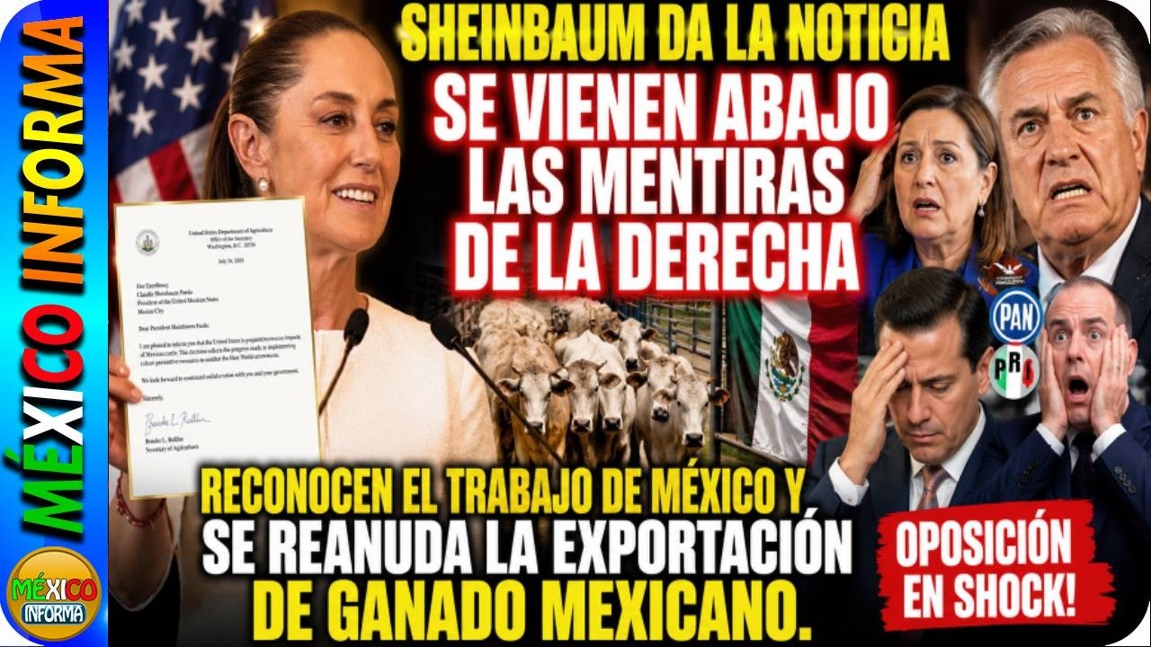 SHEINBAUM DA LA NOTICIA. SE REANUDA LA EXPORTACIÓN DEL GANADO. CAEN LAS MENTIRAS. OPOSICIÓN EN SHOCK