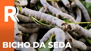 Miniatura do vídeo