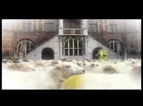 L1 TV commercial Geer van de Veer - Schapen