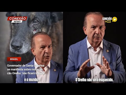 Vídeo: Governador de Santa Catarina se manifesta sobre morte do cão Orelha: ‘não ficará impune’.