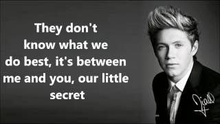 One Direction  They Don&#39;t Know About Us Lyrics and Pictures