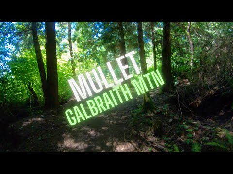 Mullet at Galbraith Mountain - (Sendsday #50)