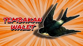 Download lagu 🔴Suara Walet Paling Di Cari Tembakan Rapat Jernih |Durasi Panjang Jeda 5Detik#suarawaletpalingdicari mp3 Download lagu 🔴Suara Walet Paling Di Cari Tembakan Rapat Jernih |Durasi Panjang Jeda 5Detik#suarawaletpalingdicari mp3