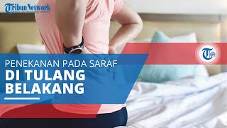 Sindrom Cauda Equina, Penekanan pada Sekumpulan Saraf di Bagian Bawah Tulang Belakang Manusia