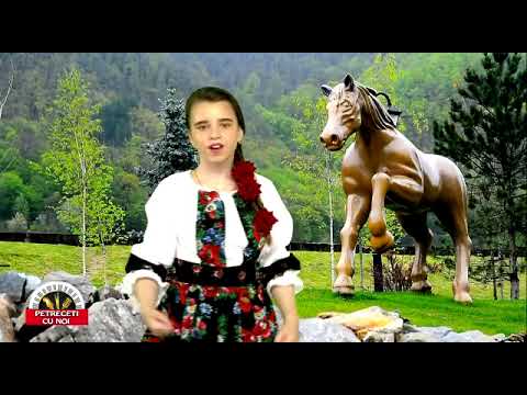 ANTONIA PETRACHE-Te blestem să-ți  fie bine (cover)